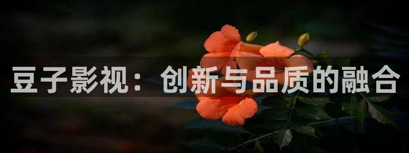 超碰国产人人在线：豆子影视：创新与品质的融合