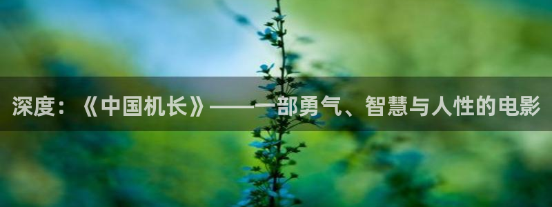 将夜2人人影院：深度：《中国机长》——一部勇气、智慧与人性的电影