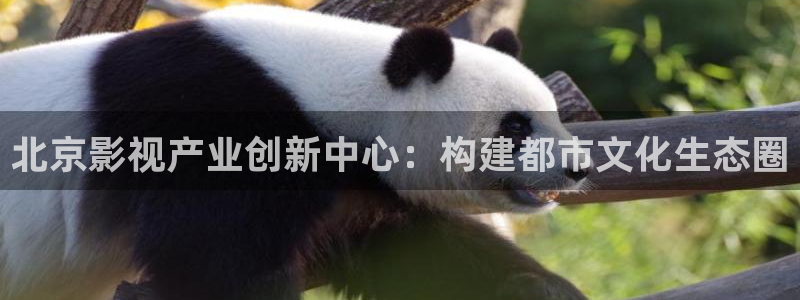 人人干免费看视频：北京影视产业创新中心：构建都市文化生态圈