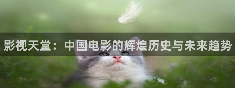 人人影视网站：影视天堂：中国电影的辉煌历史与未来趋势