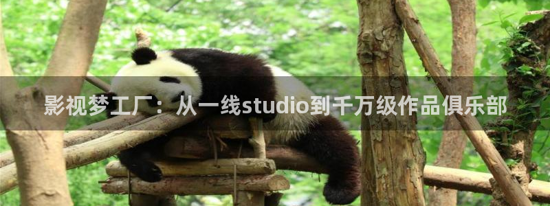 人人爱爱片：影视梦工厂：从一线studio到千万级作品俱乐部