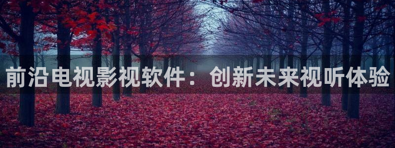 人人看影视高清完整在线观看：前沿电视影视软件：创新未来视听体验